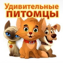 Ответы в Викторине на Хэллоуин