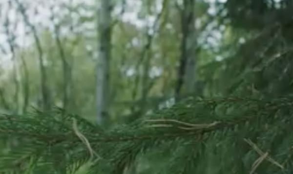 Содержание серий сериала «С чистого листа». Фото: Россия-1